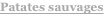 shapeimage_6_link_0