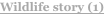 shapeimage_8_link_0